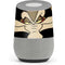 Looney Tunes Wile E. Coyote Smile Google Home Skin